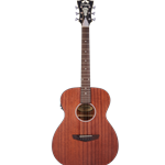 D'Angelico Premier Tammany LS