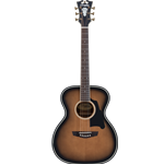 D'Angelico Premier Tammany - Aged Burst