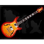 Cort MCUSTOMCRS M-Custom Chambered body electric guitar