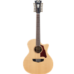 D'Angelico DAPG212NATAP Premier Fulton - Natural