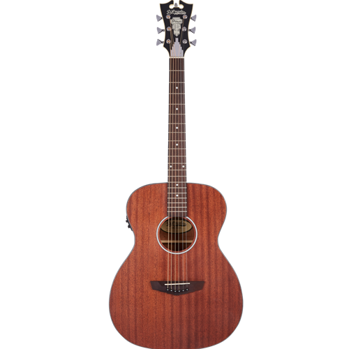 D'Angelico Premier Tammany LS