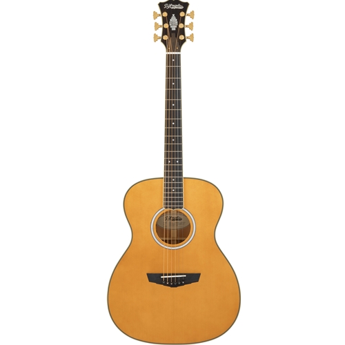 D'Angelico Excel Tammany