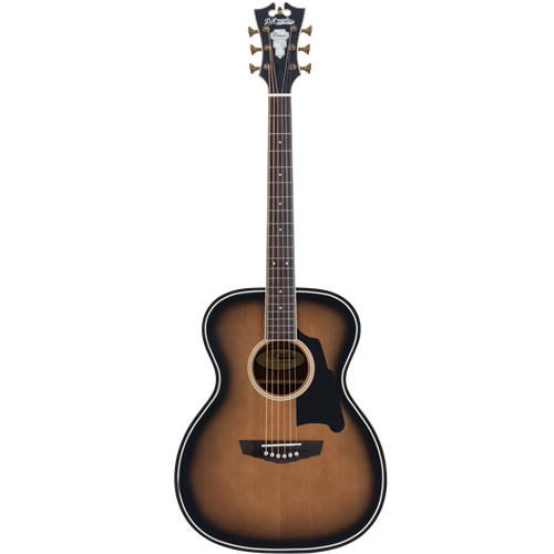 D'Angelico Premier Tammany