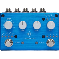 Pigtronix Cosmosis