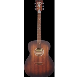 D'Angelico Premier Tammany LS Aged