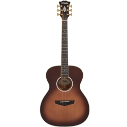D'Angelico Excel Tammany, All-Solid - Autumn Burst