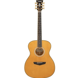 D'Angelico Excel Tammany, All-Solid - Vintage Natural